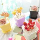 Kraftige kvadratiske plastpotter  thumbnail