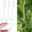 Plantestøtte til fruk,bær og grønnsaker 10pk thumbnail