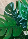 Kunstig monstera plante. 40cm thumbnail