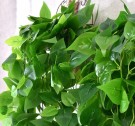 Kunstig hengeplante 105cm thumbnail