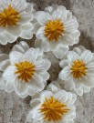 Kjøleskapsmagneter søte blomstermotiv 5pak thumbnail