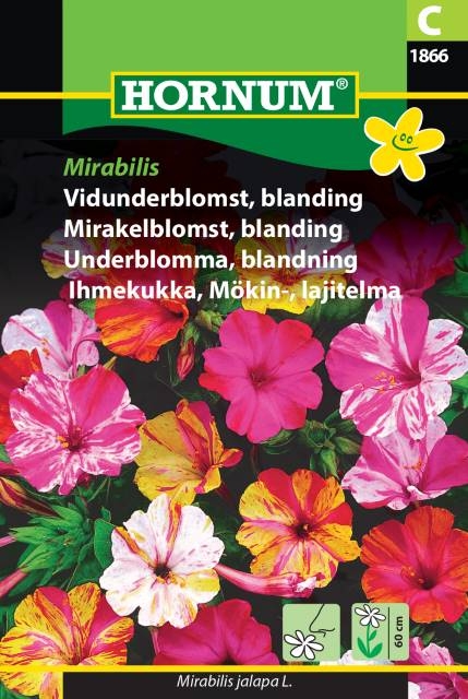 Mirabilis jalapa L. Danner knoller som kan overvintre frostfritt.
Blandingen får duftende, vakre, trompetlignende blomster i søte, lysende farger. 